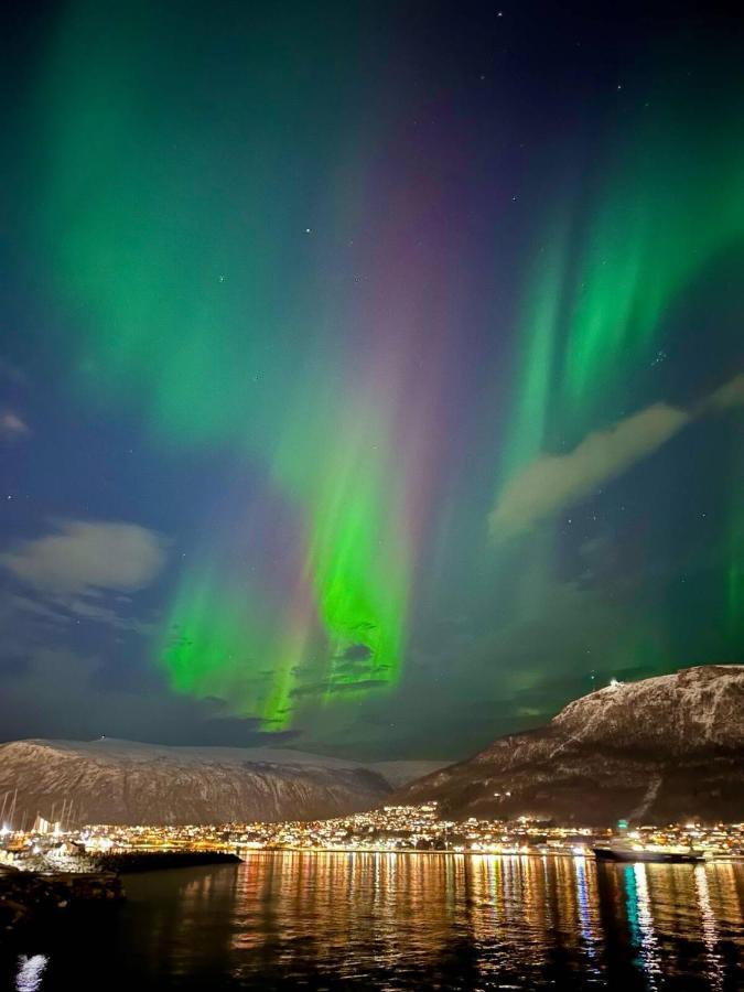 Leilighet Ved Havet Med Utsikt Over Tromsoysundet. Exteriér fotografie